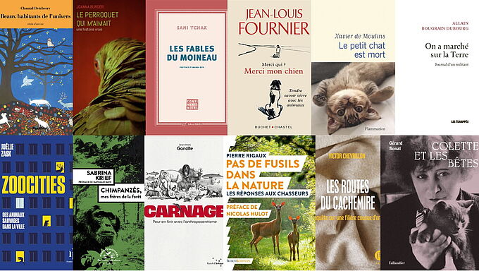 Le Prix littéraire 30 Millions d'Amis reporté au printemps