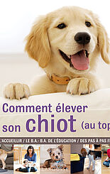 Comment élever son chiot (au top !)