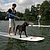 Junior, roi du paddle ! © Anne C.