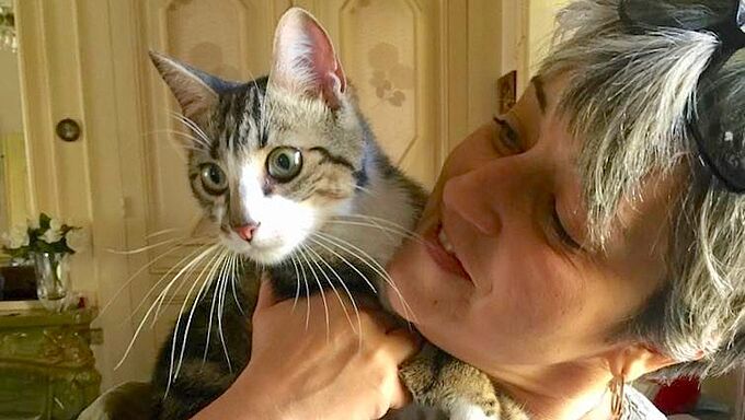 Tombé dans une courette abandonnée, un chat sauvé grâce à une belle chaîne de solidarité