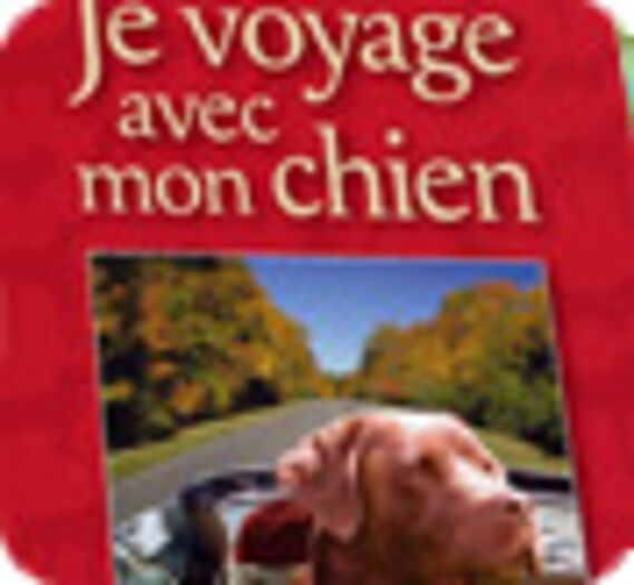 voyager avec son chien