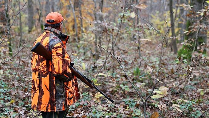 Un chasseur soupçonné d’avoir tué un chien et menacé de mort son maître