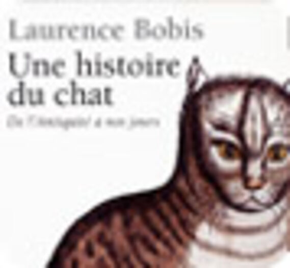 Une histoire du chat