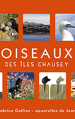 Oiseaux des îles Chausey