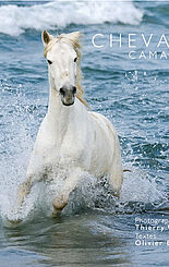 Chevaux Camargue