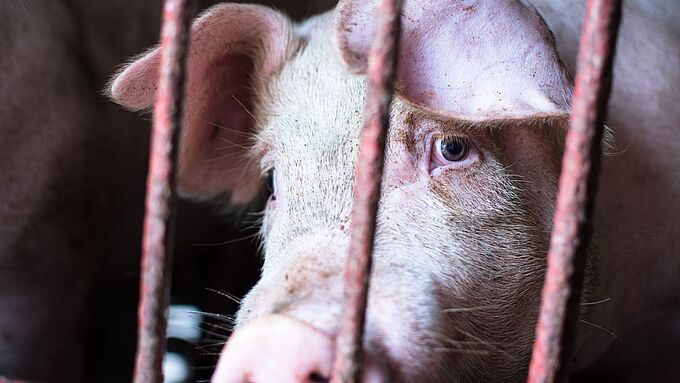Le gouvernement veut museler les lanceurs d’alerte, 130 chercheurs se mobilisent. Faîtes-le savoir !