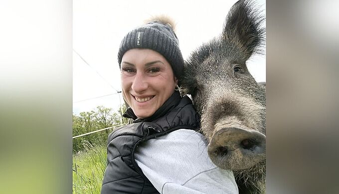 Menaces sur le sanglier « Rillette » : notre réaction au JT de France 2