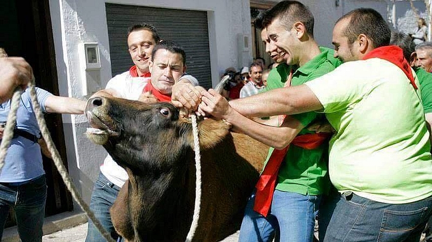 Le "taureau à la corde" se pratique dans plusieurs villages d'Espagne./©Flickr
