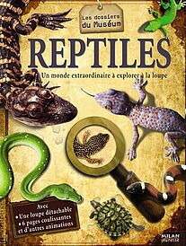 Reptiles