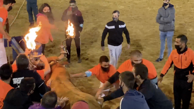 Indignation en Espagne ! Ils enflamment les cornes d'un taureau terrifié lors d'un festival