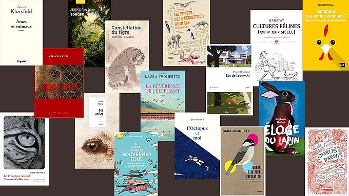 Prix Littéraire 30 Millions d’Amis : découvrez les 16 ouvrages sélectionnés pour l’édition 2021