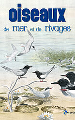 Oiseaux de mer et de rivages