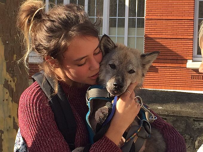 Amelia remue ciel et terre pour retrouver sa chienne perdue à l'aéroport de Roissy