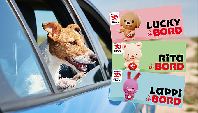 Contre l’abandon, commandez votre sticker personnalisé ! 