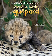 Au coeur de la nature... avec le petit guépard