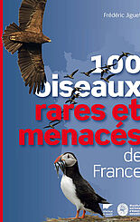 100 oiseaux rares et menacés de France