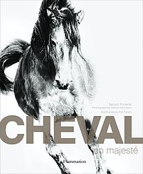 Cheval en majesté