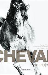 Cheval en majesté