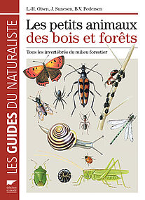 Petits animaux des bois et forêts