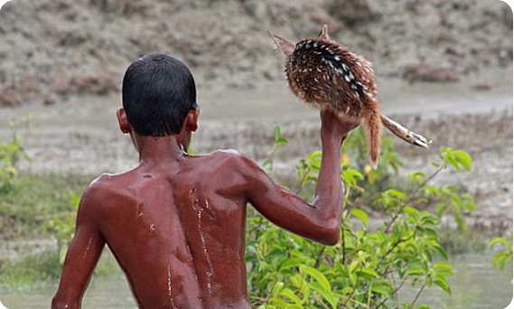 Le geste incroyable d’un jeune Bangladais pour sauver un faon de la noyade