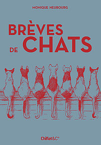 Brèves de chats