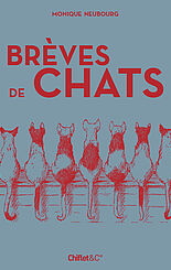 Brèves de chats