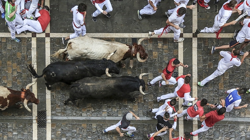 Le lâcher de taureaux pour les fêtes de San Fermin, à Pampelune (Espagne).