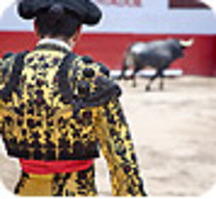 La tauromachie inscrite au patrimoine culturel français ? Révoltant !
