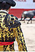 La tauromachie inscrite au patrimoine culturel français ? Révoltant !