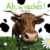 Ah, les vaches !