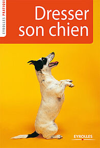 Dresser son chien