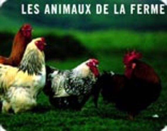 Les animaux de la ferme