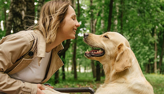 Les chiens pleurent de joie lorsqu'ils retrouvent leur maître !