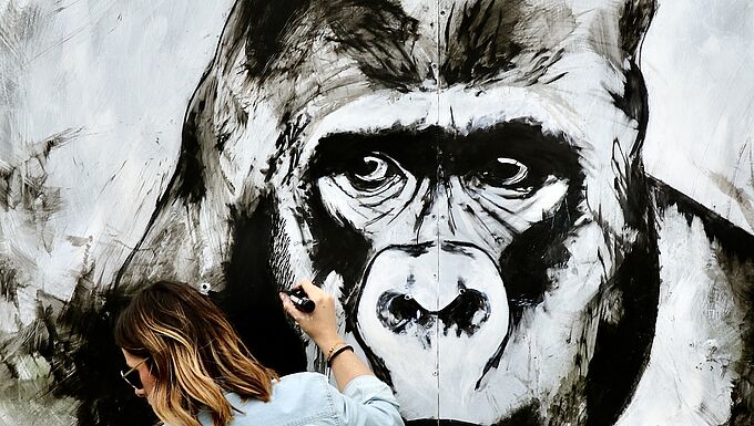 Ces regards d’animaux vont vous captiver