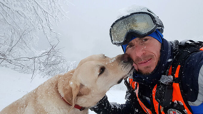 Ce chien guide a été sauvé par les gendarmes en montagne après une chute de 150 mètres !