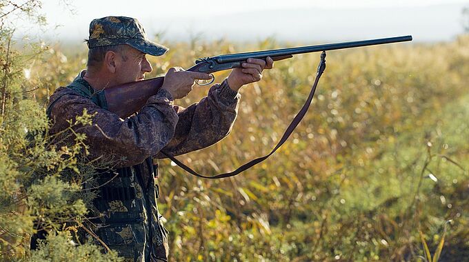 Des députés veulent instaurer des jours sans chasse