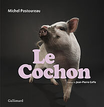 Le cochon