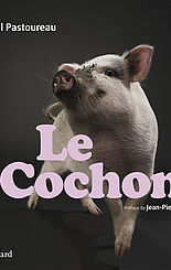 Le cochon