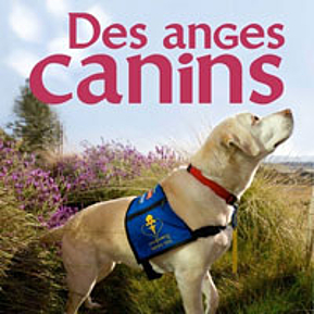 Des anges canins