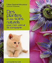 Des plantes et des soins naturels pour mon animal de compagnie