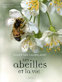 Les abeilles et la vie