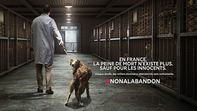La Fondation 30 Millions d’Amis lance une mobilisation nationale contre l’euthanasie d’animaux abandonnés. Aidez-nous !
