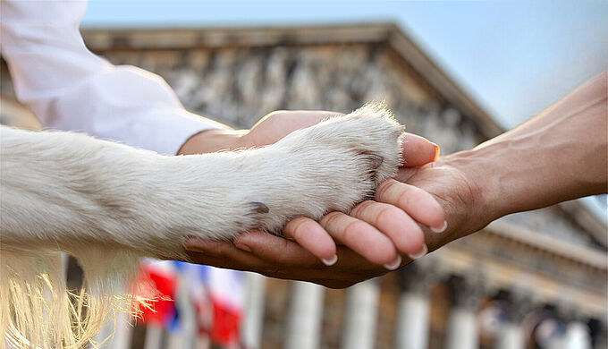 Baromètre 2024 « Bien-être animal » : les Français en attendent davantage !