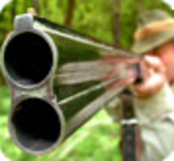 Ouverture de la chasse : la Fondation appelle les promeneurs à la vigilance