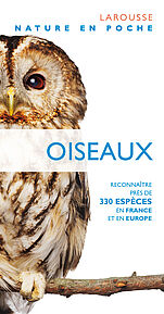 Oiseaux