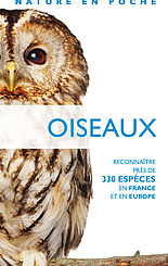 Oiseaux