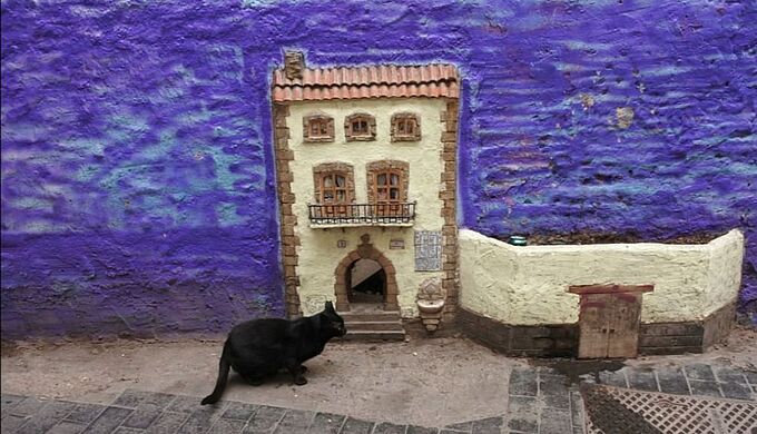 Découvrez la petite maison des chats à Valence (Espagne)