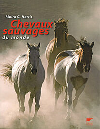 Chevaux sauvages du monde