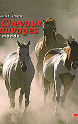 Chevaux sauvages du monde