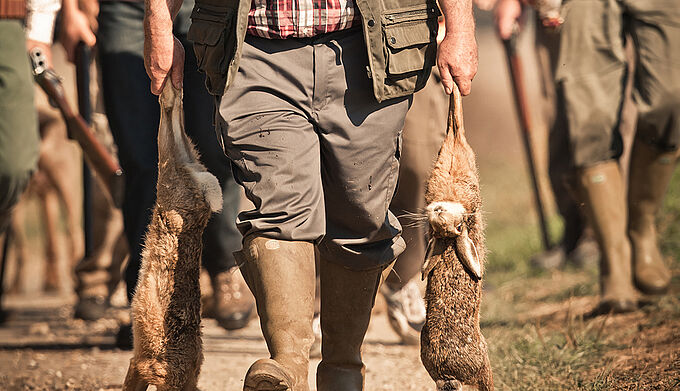 Les chasseurs « représentants de la ruralité » ? Un argument rejeté... par les ruraux !